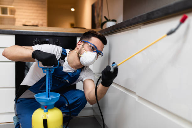 Best Mosquito Control Services  in Robbins, IL