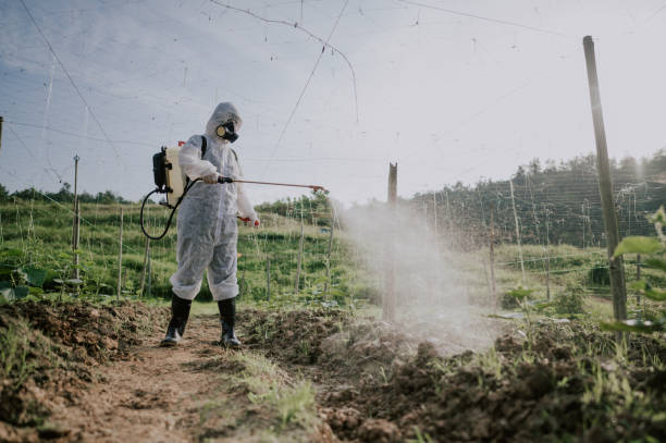 Best Local Pest Control Services  in Robbins, IL