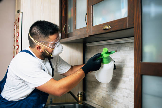 Best Affordable Pest Control Services  in Robbins, IL