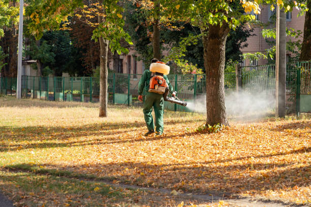 Best Affordable Pest Control Services  in Robbins, IL