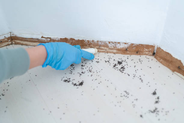 Best Pest Inspection Near Me  in Robbins, IL